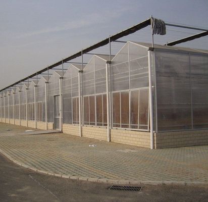 20GP 40GP 40HC Span Multi PE Film Plastic Agriculture Greenhouse Kit for Multi-Span