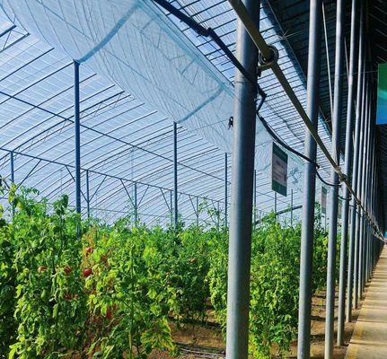 20GP 40GP 40HC Span Multi PE Film Plastic Agriculture Greenhouse Kit for Multi-Span