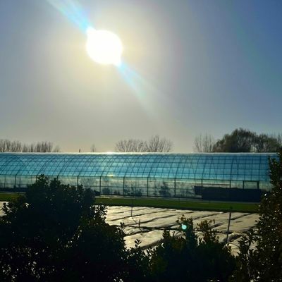 20GP 40GP 40HC Span Multi PE Film Plastic Agriculture Greenhouse Kit for Multi-Span