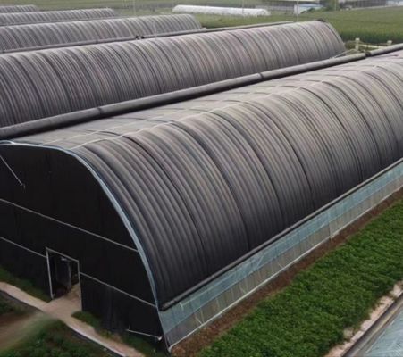 Multi-Span Water Pipe Hydroponic Growing System for Greenhouse Aquaculture Efficiency