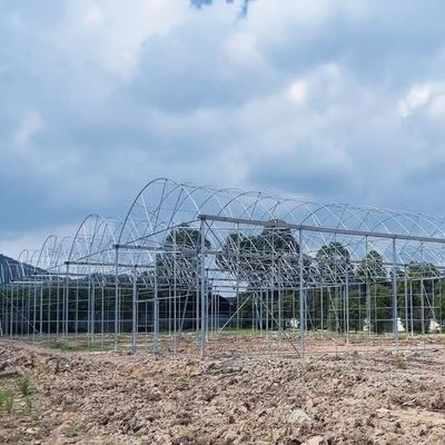 Multi-Span Water Pipe Hydroponic Growing System for Greenhouse Aquaculture Efficiency