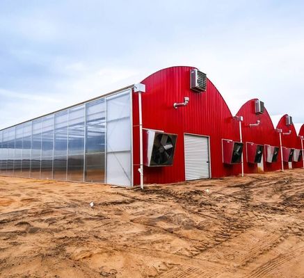 Multi-Span Water Pipe Hydroponic Growing System for Greenhouse Aquaculture Efficiency