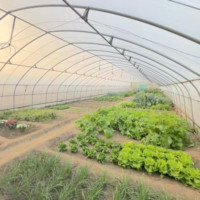 30-Day Return Refunds Get a Refund for Our Multi-Span Agriculture Tunnel Greenhouse Kit