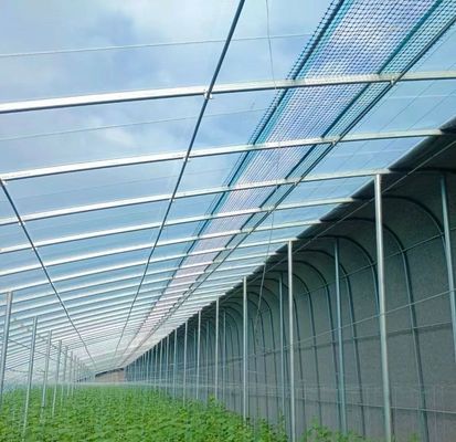 Origin Eco Greenhouse for Tomato/Capsicum/Cucumber Steel Structure and Shipping Cost