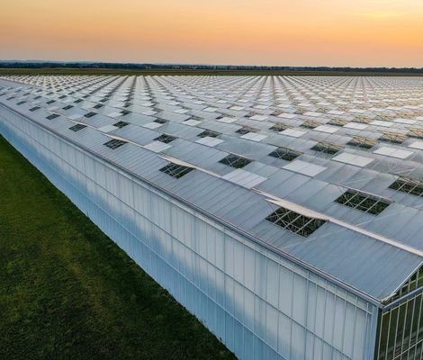 Origin Eco Greenhouse for Tomato/Capsicum/Cucumber Steel Structure and Shipping Cost