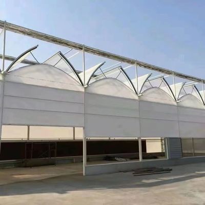 Tomato/Strawberry/Lettuce Multi-Span Commercial Greenhouse with Plastic Film Cover