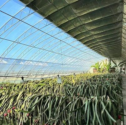 Tomato/Strawberry/Lettuce Multi-Span Commercial Greenhouse with Plastic Film Cover