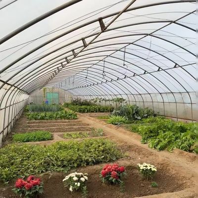 50.00cm * 60.00cm * 50.00cm Package Size for Tunnel Greenhouse Hydroponic System
