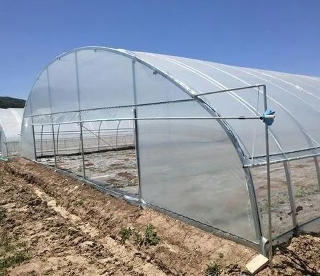 Multi-Span Commercial Greenhouse with End Floral Sightseeing and Striped Glass Terrace