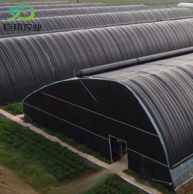 Commercial Greenhouse Double Arch Beam Greenhouses with Snow Vibrator in US Currency