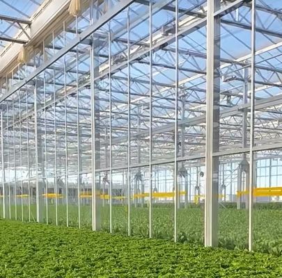 Commercial Greenhouse Double Arch Beam Greenhouses with Snow Vibrator in US Currency