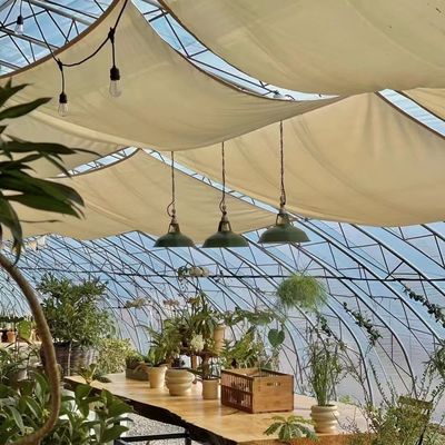 Package Size 50.00cm * 60.00cm * 50.00cm Tunnel Greenhouse for Agriculture and Vegetables