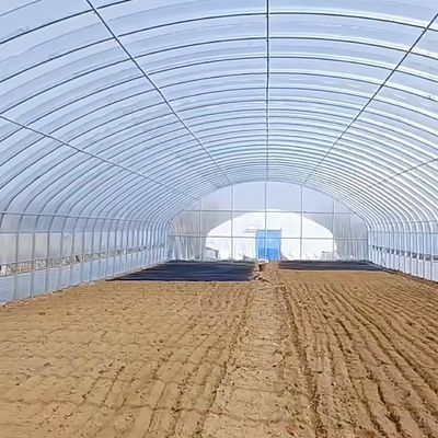 Package Size 50.00cm * 60.00cm * 50.00cm Tunnel Greenhouse for Agriculture and Vegetables