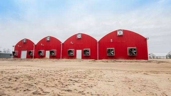 Aquaculture Steel Structure Solar Greenhouse with Quilt Rolling Shutter and Materials