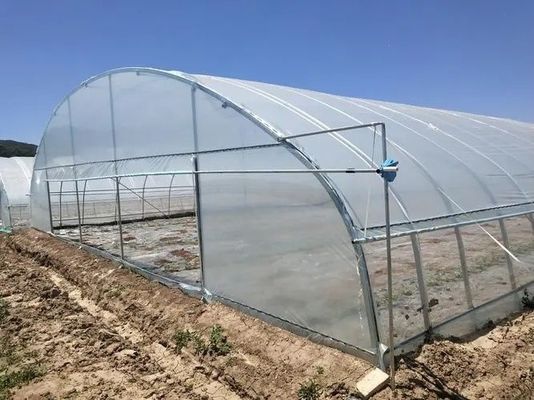 H Section Customized Steel Structure Greenhouse Design on Multi Span US Market Needs