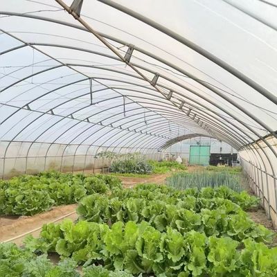 Convenient Return Refunds for Our Innovative Drip Irrigation Tunnel Greenhouse Kit