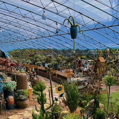 Large-Scale Chinese Origin Hydroponics Greenhouse for Optimal Crop Cultivation