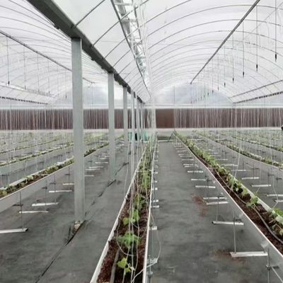Multi-Span Greenhouse with Hydroponics and Plastic Film Samples US 20/Square Meter