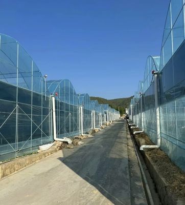 Multi-Span Film Greenhouse for Vertical Farming Package Size 50.00cm * 60.00cm * 50.00cm