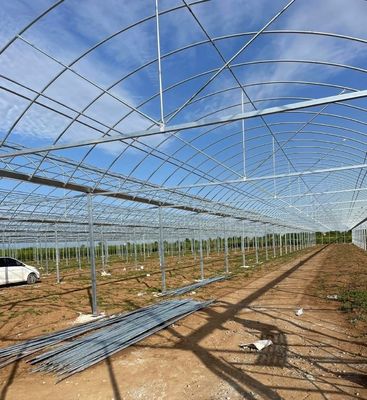 Multi-Span Film Greenhouse for Vertical Farming Package Size 50.00cm * 60.00cm * 50.00cm
