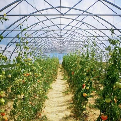 Multi-Span Innovative Drip Irrigation Tunnel Greenhouse System with 30-Day Return Refunds
