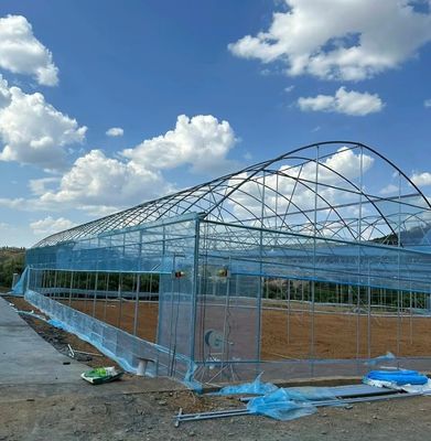 Multi Span Film Greenhouse with Cooling/Shading/Irrigation Large and Low Maintenance