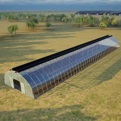 Multi-Span Arch Tunnel Greenhouse Hydroponic Growing System