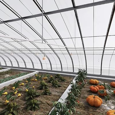 Multi-Span Arch Tunnel Greenhouse Hydroponic Growing System