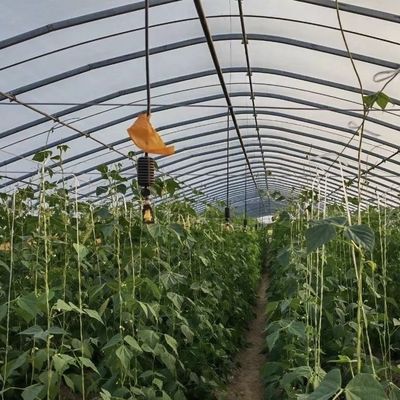 Chinese Origin Film Cover Greenhouse Setup Shipping Cost and Estimated Delivery Time