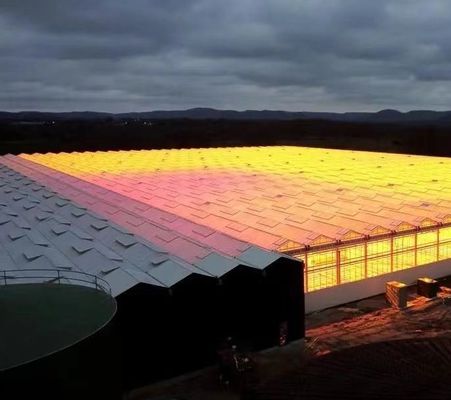 Customized Request Origin Double Arch Beam Greenhouse for Vegetables 20GP/40GP/40HC