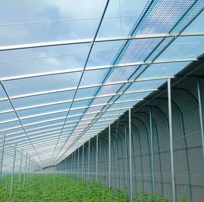 Customized Request Origin Double Arch Beam Greenhouse for Vegetables 20GP/40GP/40HC