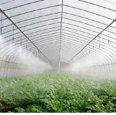 Custom Double Arch Beam Greenhouse for Vegetables Personalized to Your Requirements