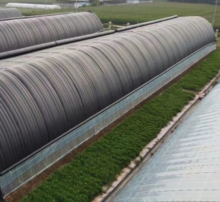 Custom Double Arch Beam Greenhouse for Vegetables Personalized to Your Requirements