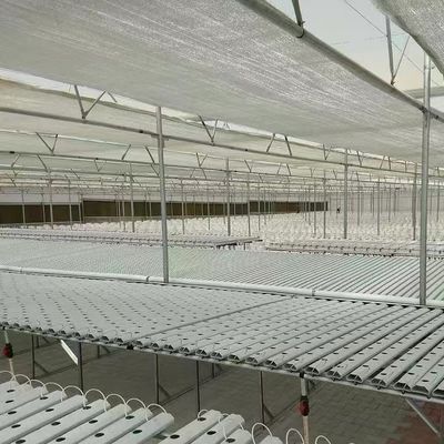 Customized Request for Venlo Multi Span Greenhouse 1 Square Meter Min.Order