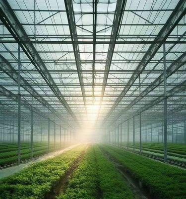 Vegetable Cultivation Greenhouse with Snow Vibrator Return refunds within 30 Days
