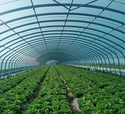Vegetable Cultivation Greenhouse with Snow Vibrator Return refunds within 30 Days