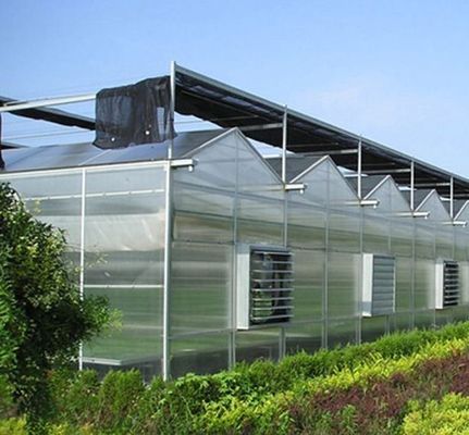Initial Payment Snow Vibrator Greenhouse for Agriculture Unheated Heating Method