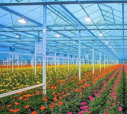Initial Payment Snow Vibrator Greenhouse for Agriculture Unheated Heating Method