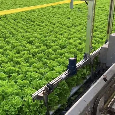 Agricultural Multi Span Greenhouse Plastic Film Hydroponics Vertical Farming System