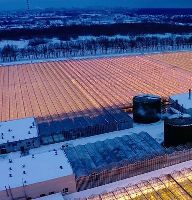 Double Arch Beam Greenhouse for Mushroom Farming Plastic Sheet Cover Single or Multi Span