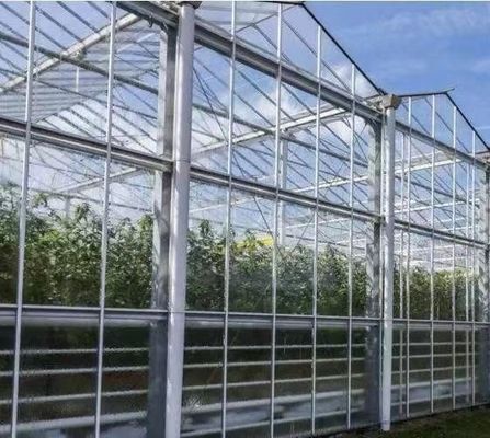 Double Arch Beam Greenhouse for Mushroom Farming Plastic Sheet Cover Single or Multi Span