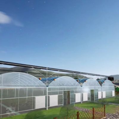 Film Covered Hydroponic Drip Irrigation Greenhouse Kit 20.000kg Package Gross Weight
