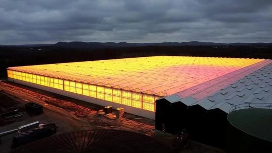 Arched Roof Mushroom Cultivation Sunlight Greenhouse Package Gross Weight 1000.000kg