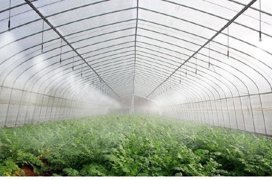 Arched Roof Mushroom Cultivation Sunlight Greenhouse Package Gross Weight 1000.000kg
