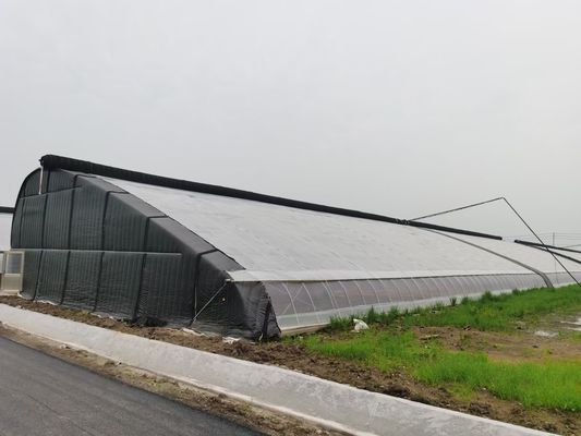 Sunlight Greenhouse JX-h0051 Year-round Vegetable Growing in Greenhouse Snow Vibrator