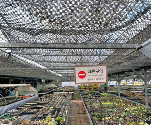 Customization Arch Tunnel Greenhouse Sunlight Greenhouse For Capsicum Farming