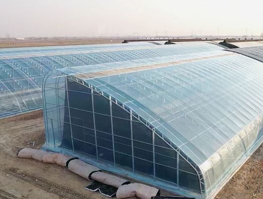Customization Arch Tunnel Greenhouse Sunlight Greenhouse For Capsicum Farming