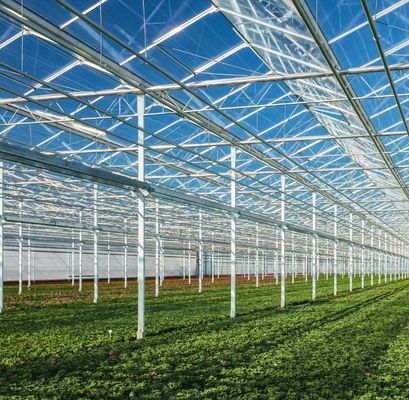 Customization Arch Tunnel Greenhouse Sunlight Greenhouse For Capsicum Farming