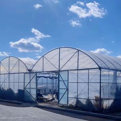 Multi-Span Commercial Greenhouse Kit with Durable PVC Pipe and Drip Irrigation System