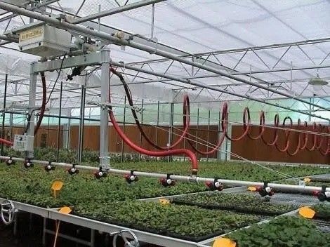 Origin Double Arch Beam Greenhouse for Capsicum Shipping Cost and Production Greenhouse